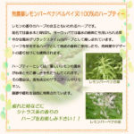 lemonverbena15p