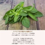 stevia50g